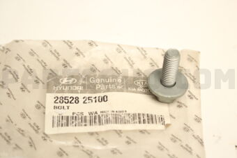 2852825100 BOLT