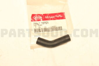289212GTC1 HOSE-PURGE