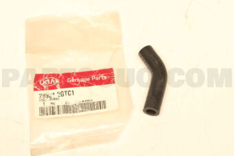 289212GTC1 HOSE-PURGE