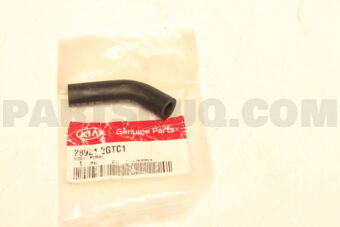 289212GTC1 HOSE-PURGE