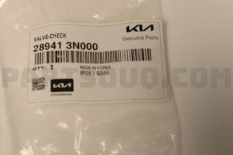 289413N000 Hyundai / KIA VALVE-CHECK