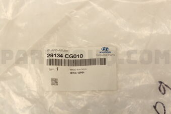 29134CG010 GUARD - AIR, RH