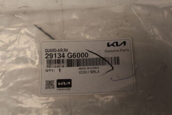 29134G6000 GUARD-AIRRH