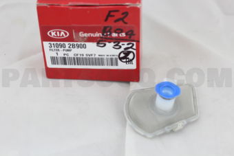 310902B900 FILTER-PUMP