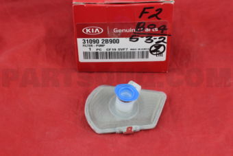 310902B900 FILTER-PUMP