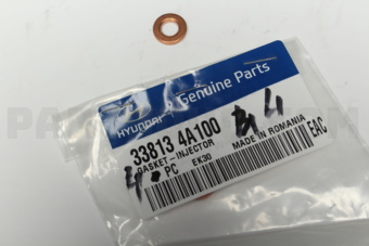 338134A100 GASKET-INJECTOR