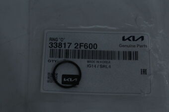 338172F600 RING "O