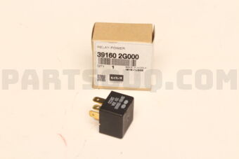 391602G000 RELAY-POWER