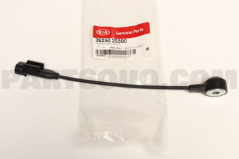 3925025300 SENSOR ASSY-KNOCK