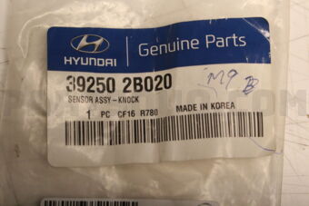392502B020 SENSOR ASSY-KNOCK