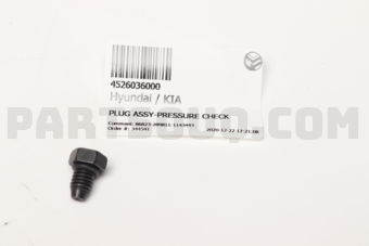 4526036000 PLUG ASSY-PRESSURE CHECK