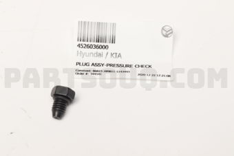 4526036000 PLUG ASSY-PRESSURE CHECK