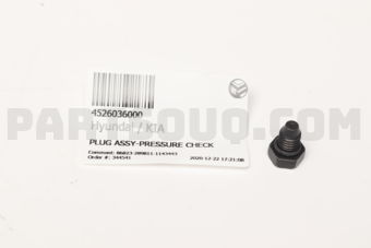 4526036000 PLUG ASSY-PRESSURE CHECK