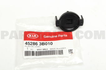 452863B010 PLUG-OIL LEVEL