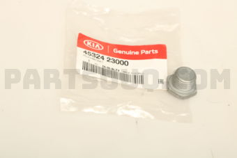 4532423000 PLUG-MAGNET