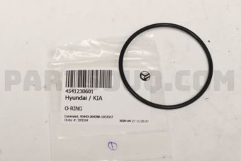 454123B601 O-RING