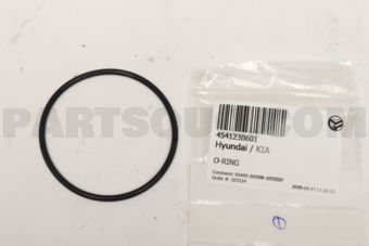 454123B601 O-RING