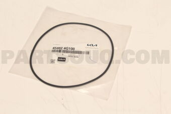454624G100 D-RING