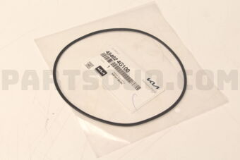 454624G100 D-RING