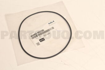 454624G100 D-RING