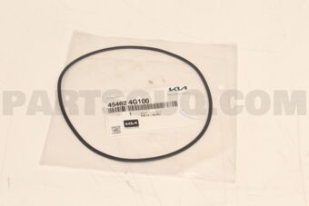 454624G100 D-RING