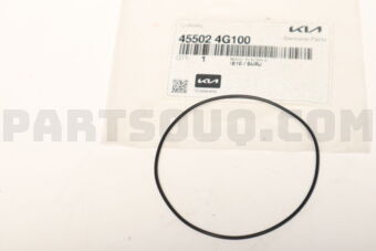 455024G100 O-RING