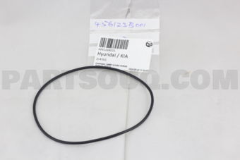 456123B001 O-RING