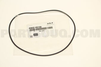456224G100 D-RING