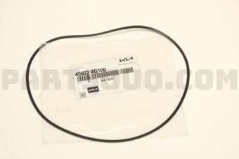 456224G100 D-RING