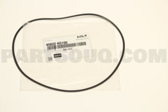 456224G100 D-RING