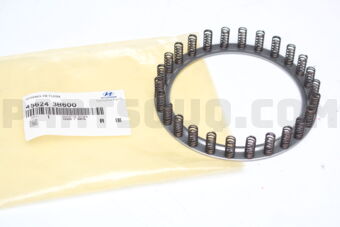 456243B600 SPRING-RETURN