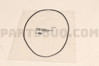 456634G100 D-RING