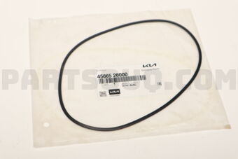 4566526000 D-RING