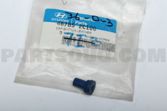 467852C100 CAP-BUTTON LEATHER