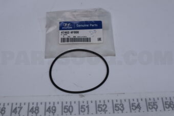 474634F000 O-RING