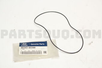 4834302200 O-RING