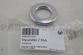 4954921000 WASHER