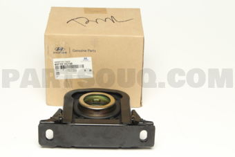 497105K700 BEARING ASSY-CTR