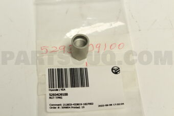 52934D9100 NUT-TPMS