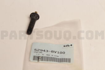 52943BV100 STEM-TPMS