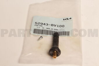 52943BV100 STEM-TPMS