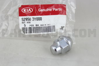 529503Y000 NUT-HUB