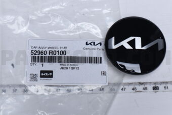 52960R0100 CAPASSY-WHEELHUB
