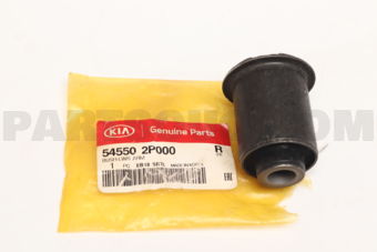 545502P000 BUSH-LWR ARM
