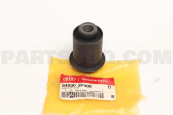 545502P000 BUSH-LWR ARM