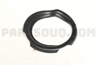 546331G000 PAD-FR SPRING LWR