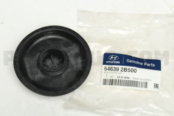546392B500 INSULATOR CAP