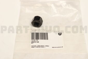 546591F100 NUT