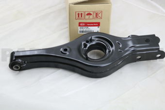 552202S100 ARM COMPLETE-RR LWR,RH