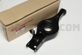 552202S100 ARM COMPLETE-RR LWR,RH